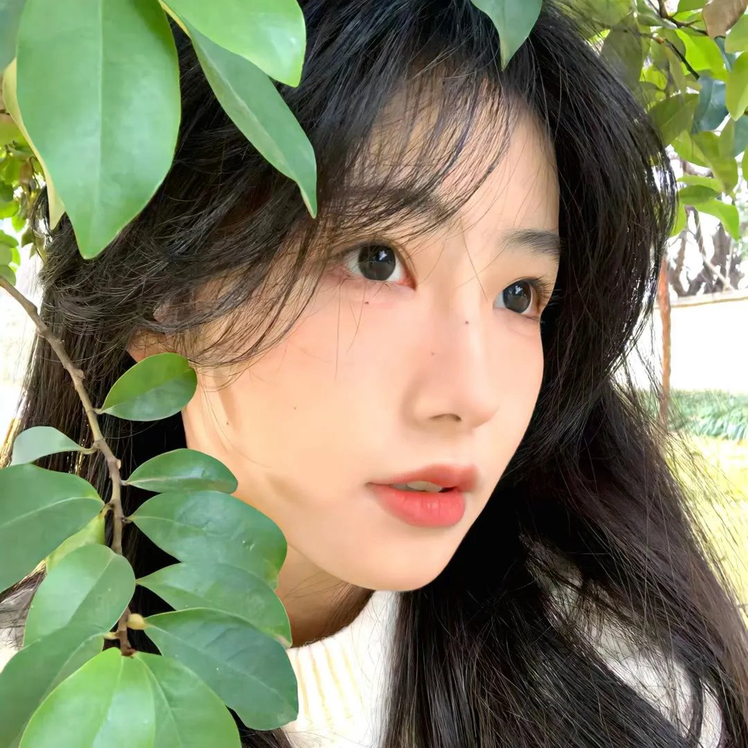 夜幕下的哈尔滨